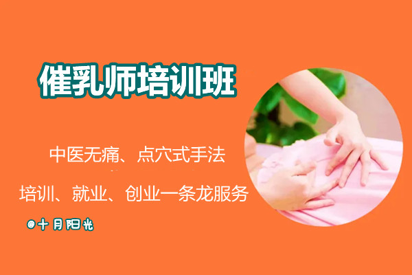 北京金童培訓(xùn)學(xué)校的催乳師課程設(shè)置有哪些特點(diǎn)？(圖3)